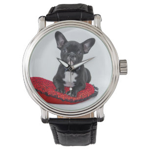 Adorable Black and White Bulldog Puppy Photo Watch