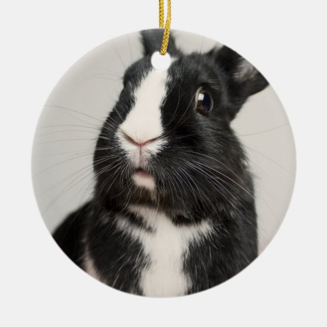 Adorable Black and White Bunny Rabbit Ceramic Tree Decoration (Front)