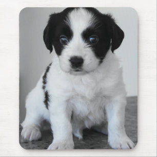 Adorable Black and White Puppy Mouse Mat