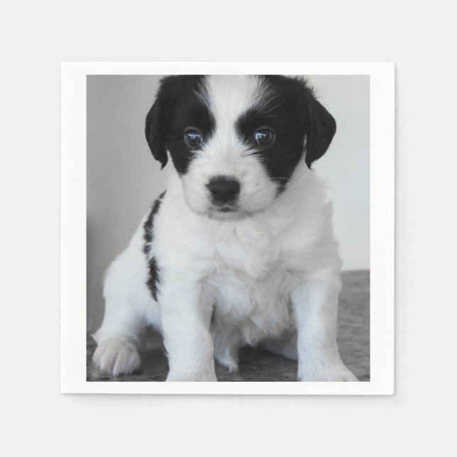 Adorable Black and White Puppy Napkin (Front)