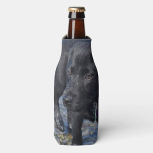 Adorable Black Lab Puppy Dog Bottle Cooler