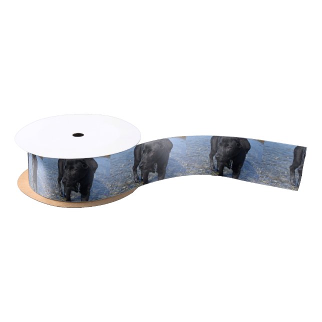 Adorable Black Lab Puppy Dog Satin Ribbon (Spool)