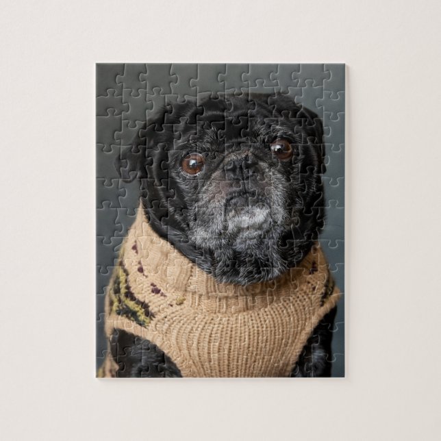 Adorable black pug in a sweater jigsaw puzzle (Vertical)
