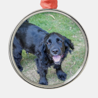 Adorable Black Puppy Metal Tree Decoration