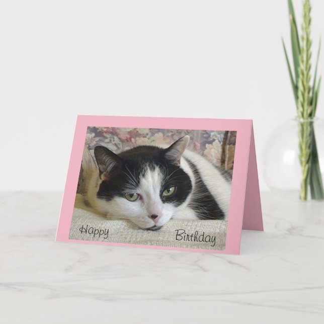 Adorable Black/White Cat Birthday Card (Front)