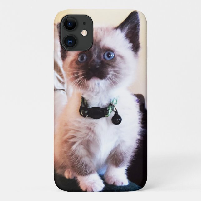 Adorable Blue Eyed Masked Kitten Photograph Case-Mate iPhone Case (Back)