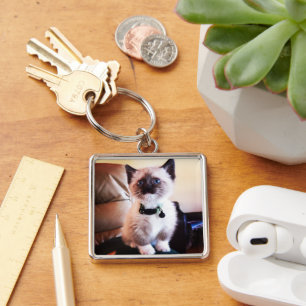 Adorable Blue Eyed Masked Kitten Photograph Key Ring