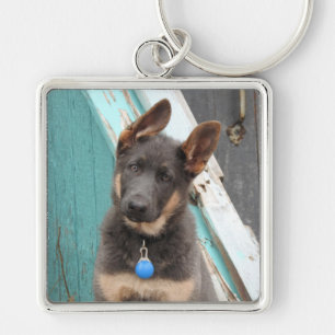 Adorable Blue German Shepherd Puppy Key Ring