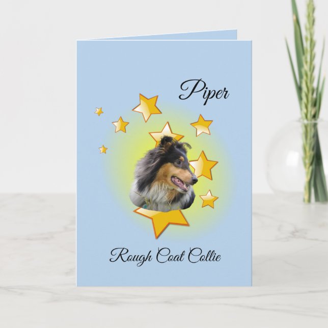 Adorable Blue Rough Coat Collie is a Star Card (Front)