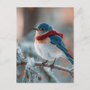Adorable Bluebird in a Scarf  Holiday Postcard