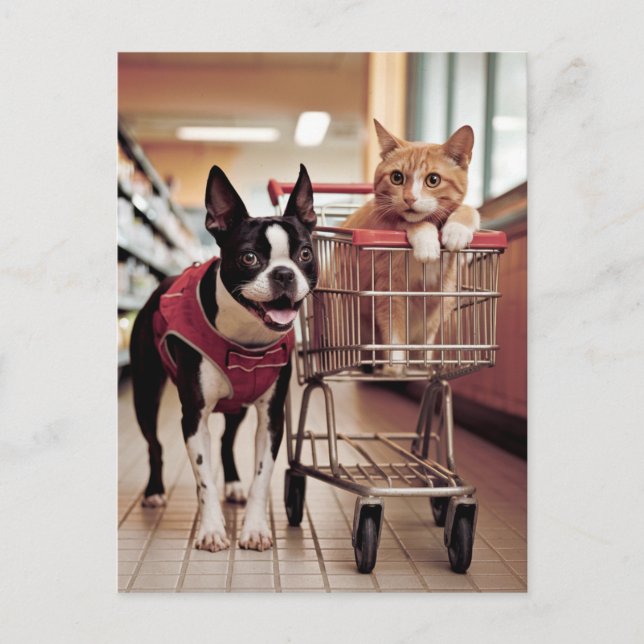 Adorable Boston Terrier and a Cat go Shopping Postcard (Front)