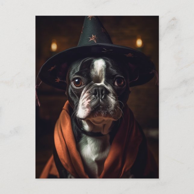 Adorable Boston Terrier Halloween Postcard (Front)