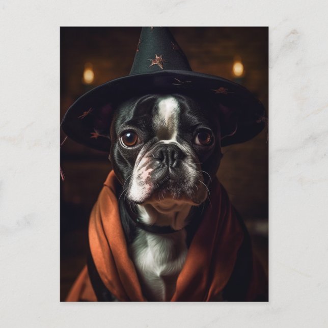 Adorable Boston Terrier Witch Postcard (Front)