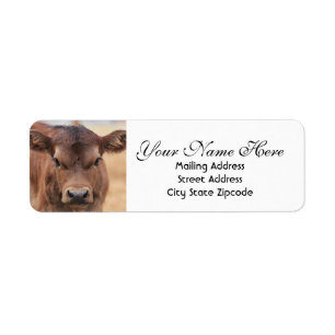 Adorable Brown Calf Return Address