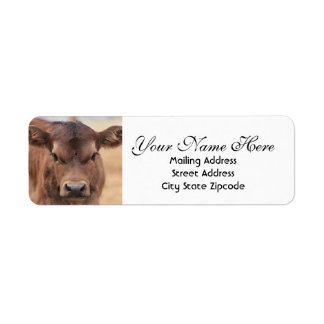 Adorable Brown Calf Return Address