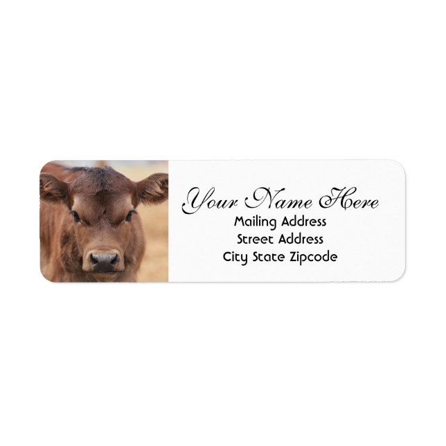 Adorable Brown Calf Return Address (Front)