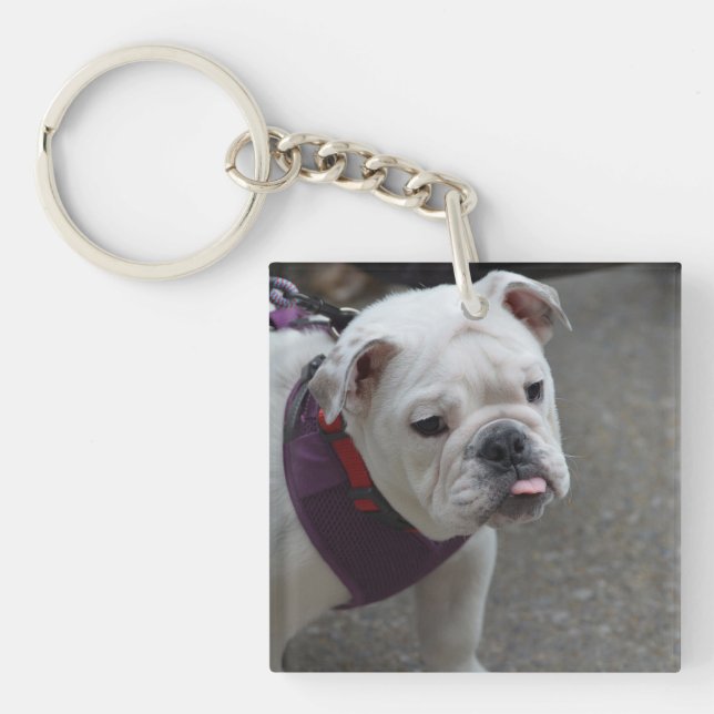Adorable Bulldog Key Ring (Front)