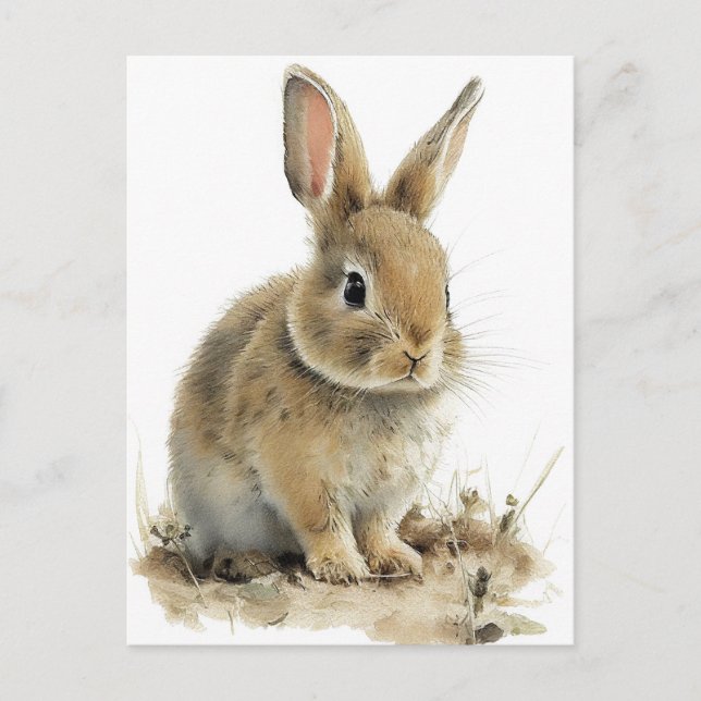 Adorable bunny postcard in watercolors (Front)