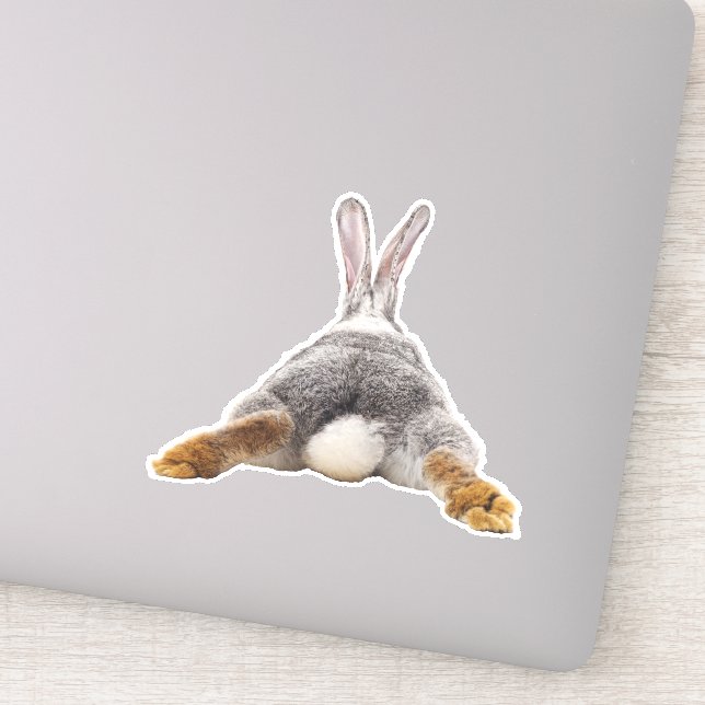 Adorable Bunny Rabbit Butt Tail (Detail)