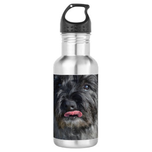 Adorable Cairn Terrier 532 Ml Water Bottle