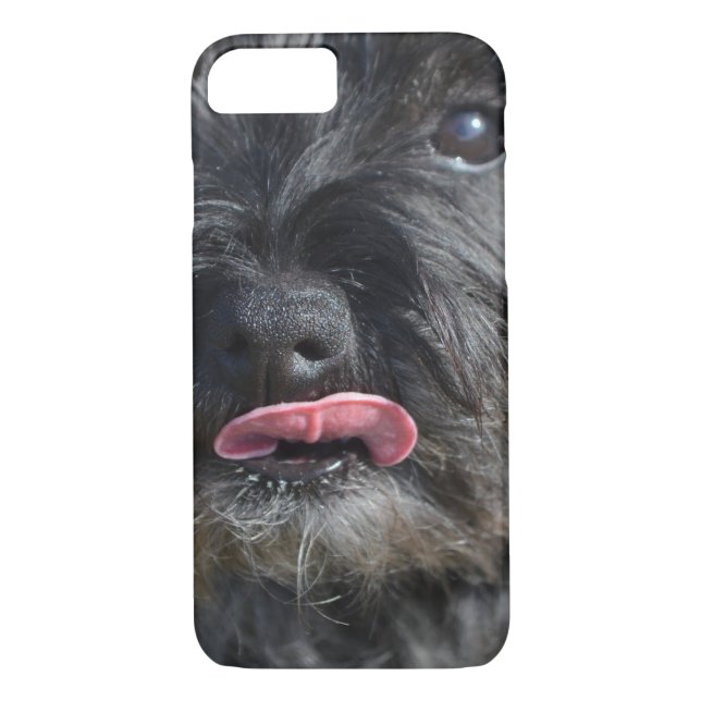 Adorable Cairn Terrier Case-Mate iPhone Case (Back)