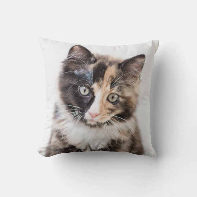 Adorable Calico Kitten Cushion (Front)