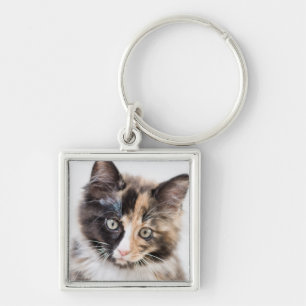 Adorable Calico Kitten Key Ring