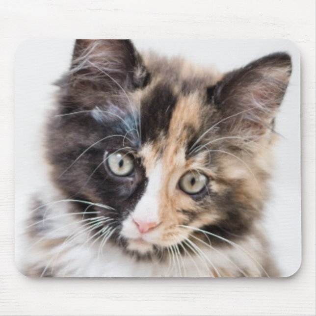 Adorable Calico Kitten Mouse Mat (Front)