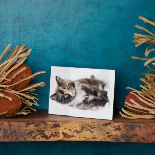 Adorable Calico Kitten Plaque