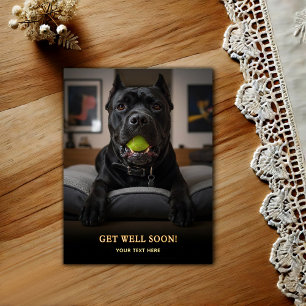 Adorable Cane Corso Get Well Postcard
