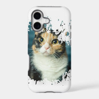 Adorable Cat