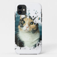 Adorable Cat