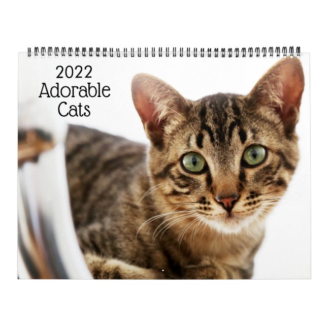 Adorable Cats 2022 Calendar (Cover)