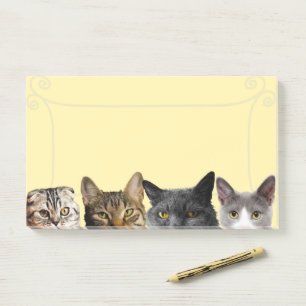 Adorable Cats Large Notes pads!