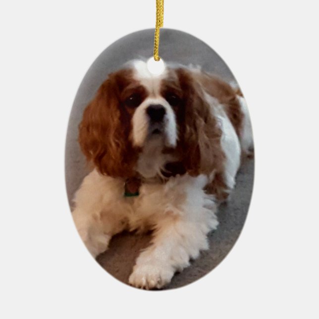 Adorable Cavalier King Charles Spaniel Ceramic Tree Decoration (Front)