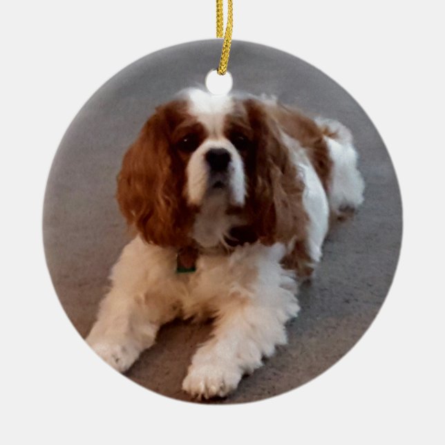 Adorable Cavalier King Charles Spaniel Ceramic Tree Decoration (Front)