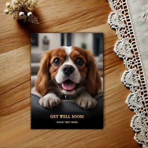 Adorable Cavalier King Charles Spaniel Get Well  Postcard
