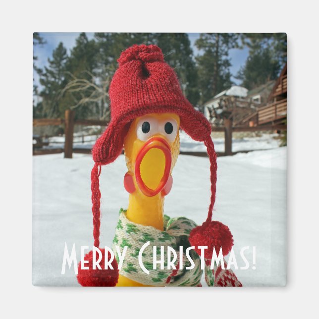 Adorable Chicken Christmas Magnet! Magnet (Front)