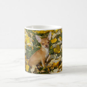 Adorable Chihuahua Puppy Between Yellow Leaves Coffee Mug
