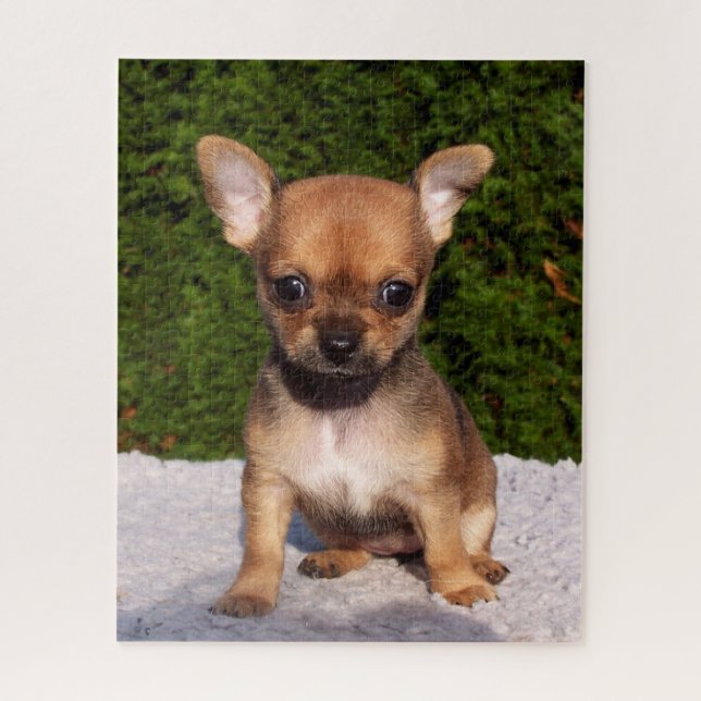 Adorable Chihuahua Puppy Dog Jigsaw Puzzle (Vertical)