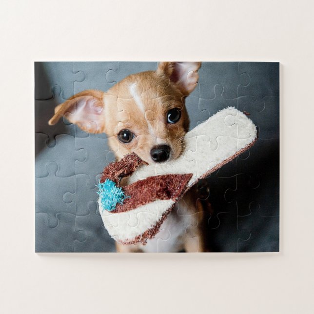 Adorable Chihuahua Puppy Jigsaw Puzzle (Horizontal)