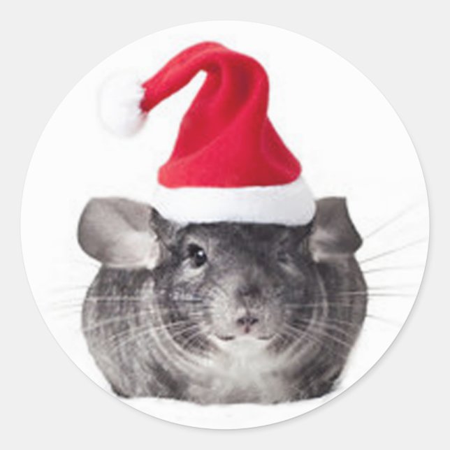 Adorable Chinchilla Santa Model Classic Round Sticker (Front)