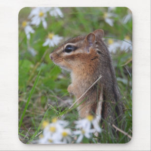 Adorable Chipmunk in flowers  Mouse Mat