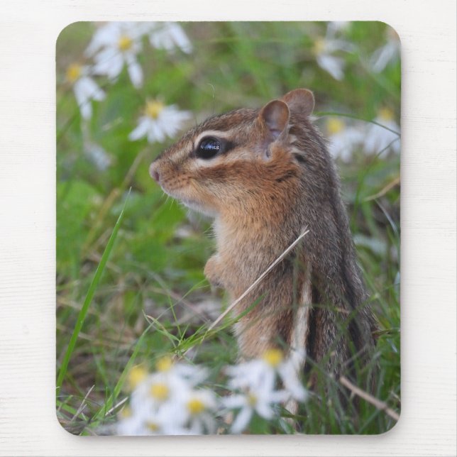 Adorable Chipmunk in flowers  Mouse Mat (Front)