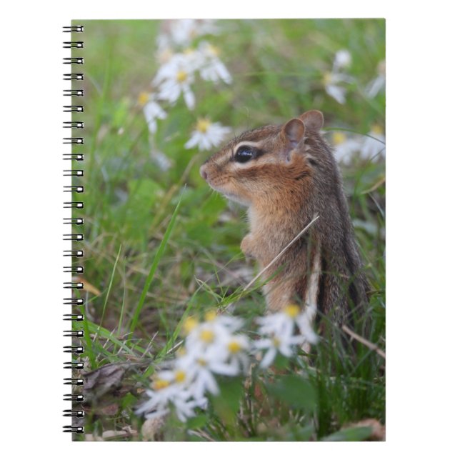 Adorable Chipmunk in flowers   Notebook (Front)