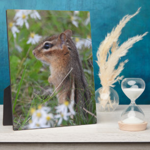 Adorable Chipmunk in flowers   Plaque
