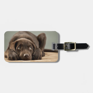 Adorable Chocolate Lab Puppy Design Luggage Tag
