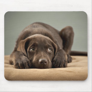 Adorable Chocolate Lab Puppy Design Mouse Mat