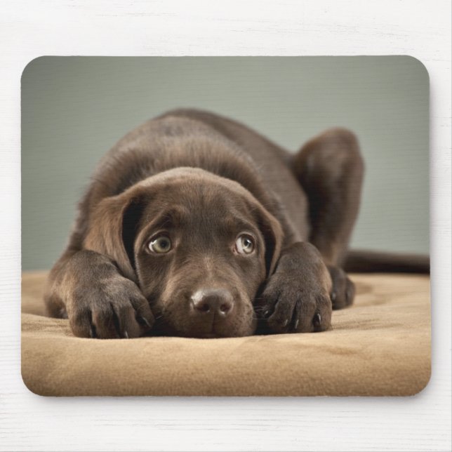 Adorable Chocolate Lab Puppy Design Mouse Mat (Front)