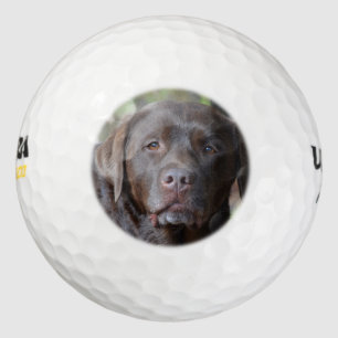 Adorable Chocolate Labrador Retriever Golf Balls
